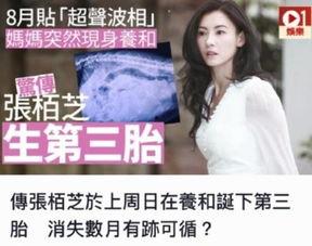 张柏芝娱乐圈八卦最新爆料,揭秘不为人知的幕后故事  第2张