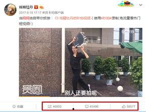 国产网红视频在线观看,在线观看，畅享潮流魅力  第2张