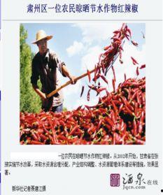 酒泉最新爆料,揭秘神秘事件背后的真相