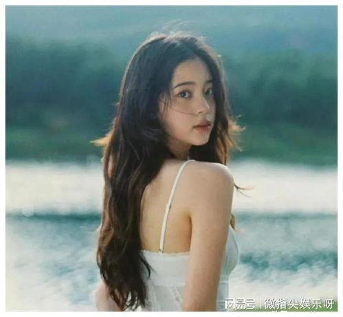 明星娱乐八卦大爆料刘涛,生活与事业的完美平衡 第3张 明星娱乐八卦大爆料刘涛,生活与事业的完美平衡 第3张